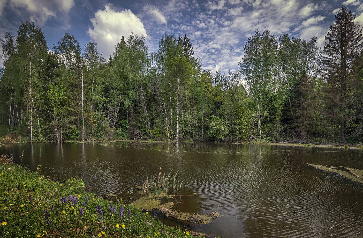 , Сергей Аникин