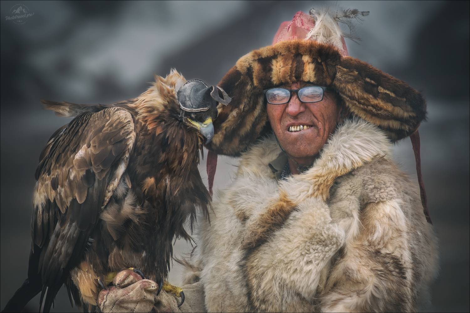 беркут, беркутчи, монголия, mongolia, алтай, фототур на алтай и в монголию, фототуры 2025, phototravel.pro, golden eagle festival, sagsay golden eagle festival, фестиваль охотников с беркутами, фестиваль беркутчи, Влад Соколовский
