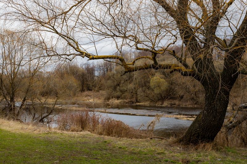 пейзаж К весне готовится пространство фото превью