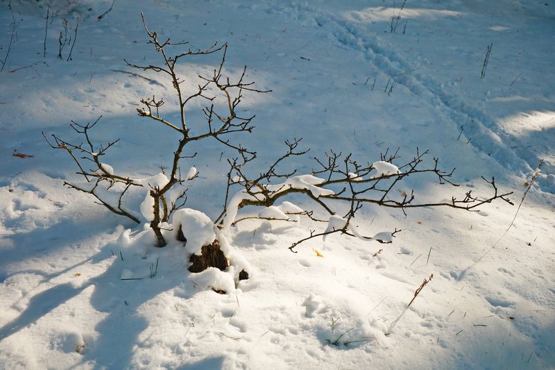 Апрельские сюрпризы фото превью