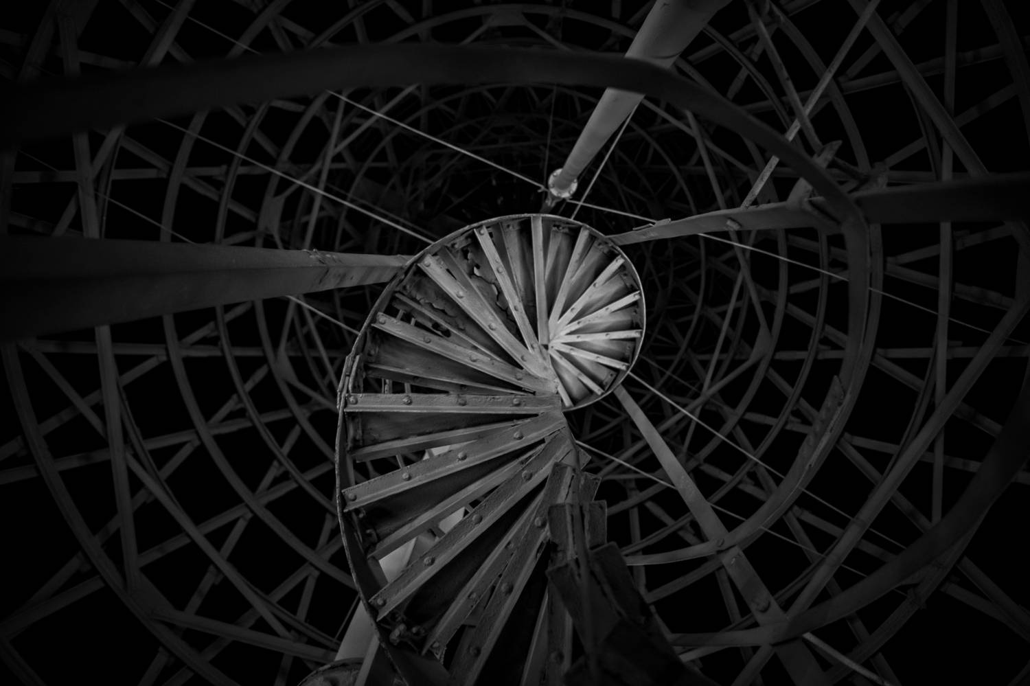 , Елена Литовская