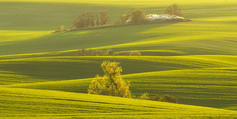 Spring fields in Brandenburg фото превью