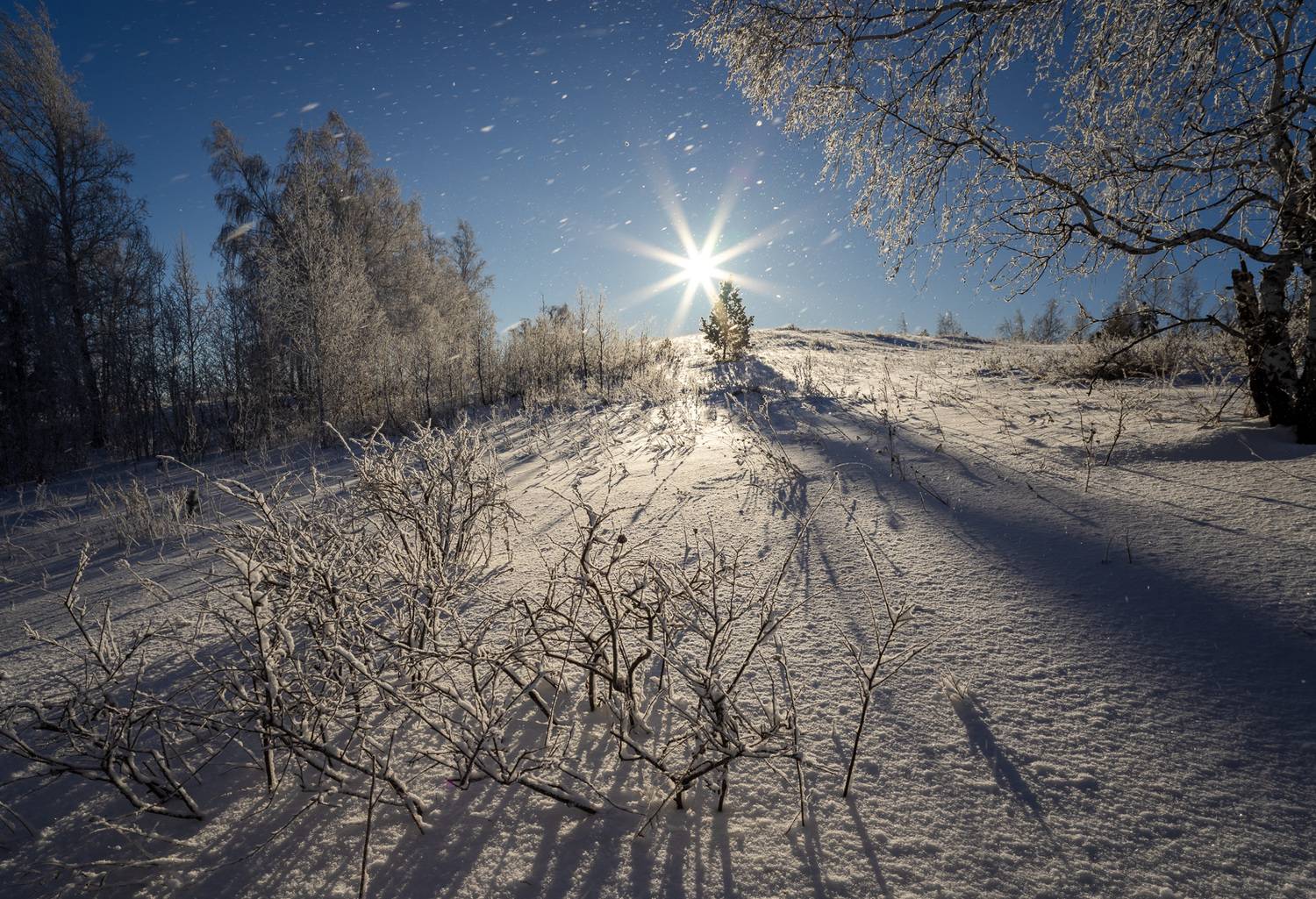 , Шустиков Дмитрий