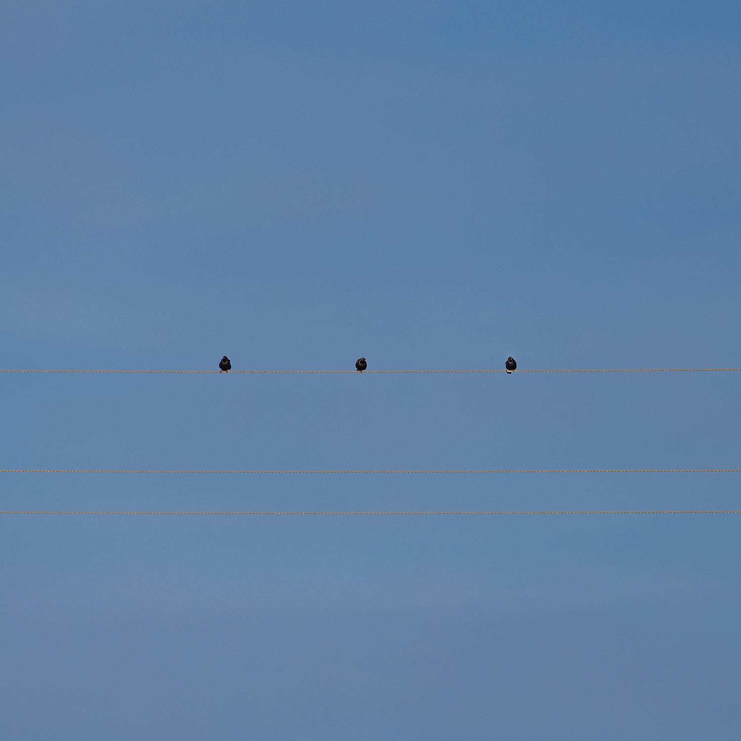 , Загруев Михаил