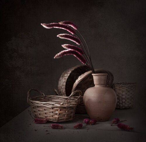 The light and the solitude