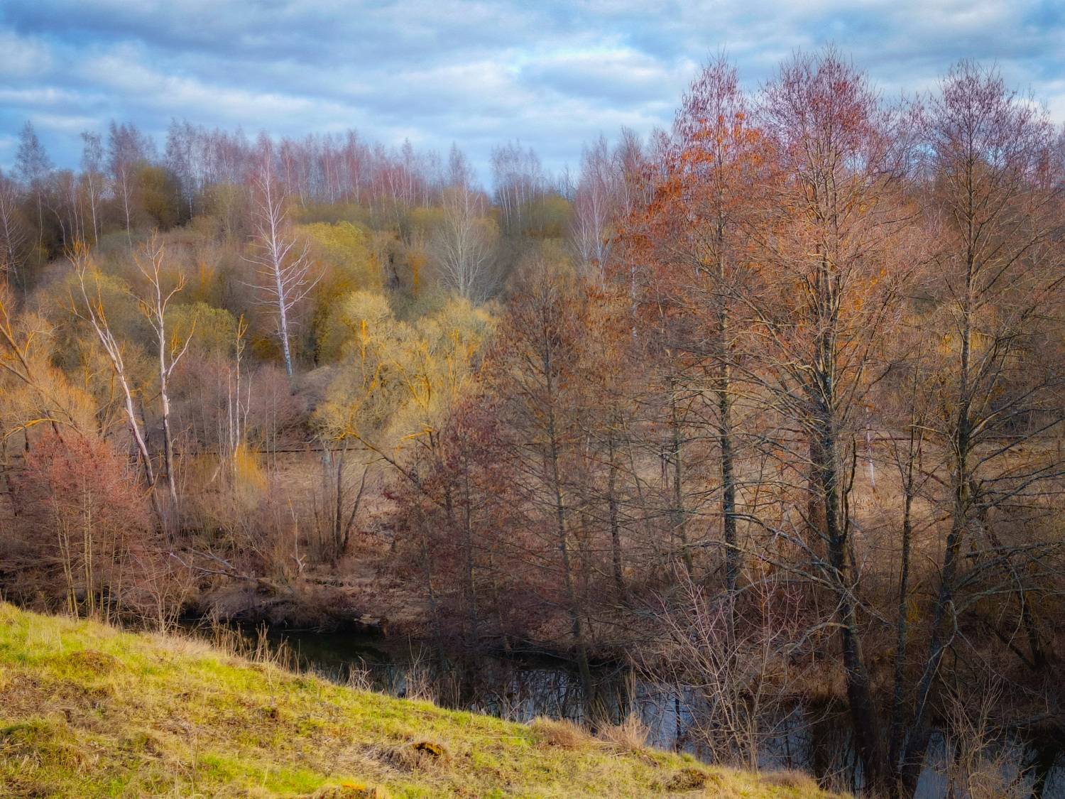 , Кондрашова Светлана