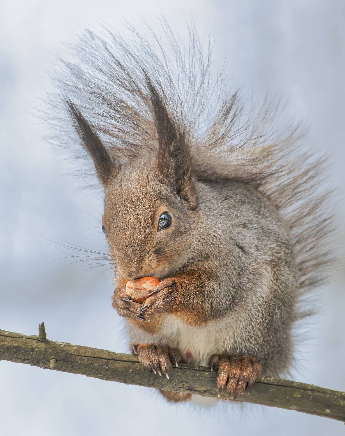 , Фото Александр