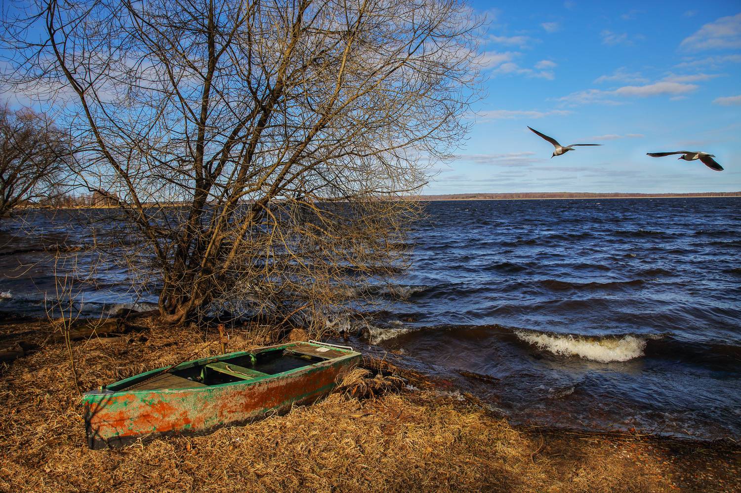 лодка, озеро, водапейзаж, деревья, облака, Мурзинов Виктор