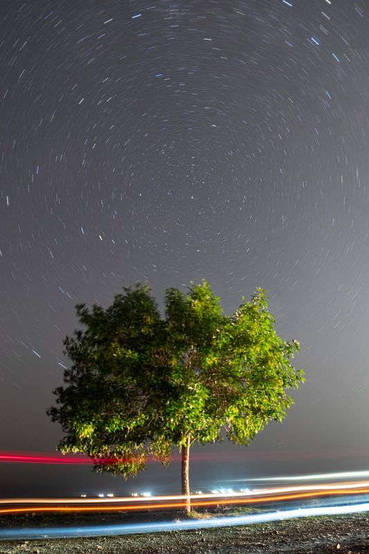 дерево, астрофото, длинная выдержка Ночной хранитель фото превью
