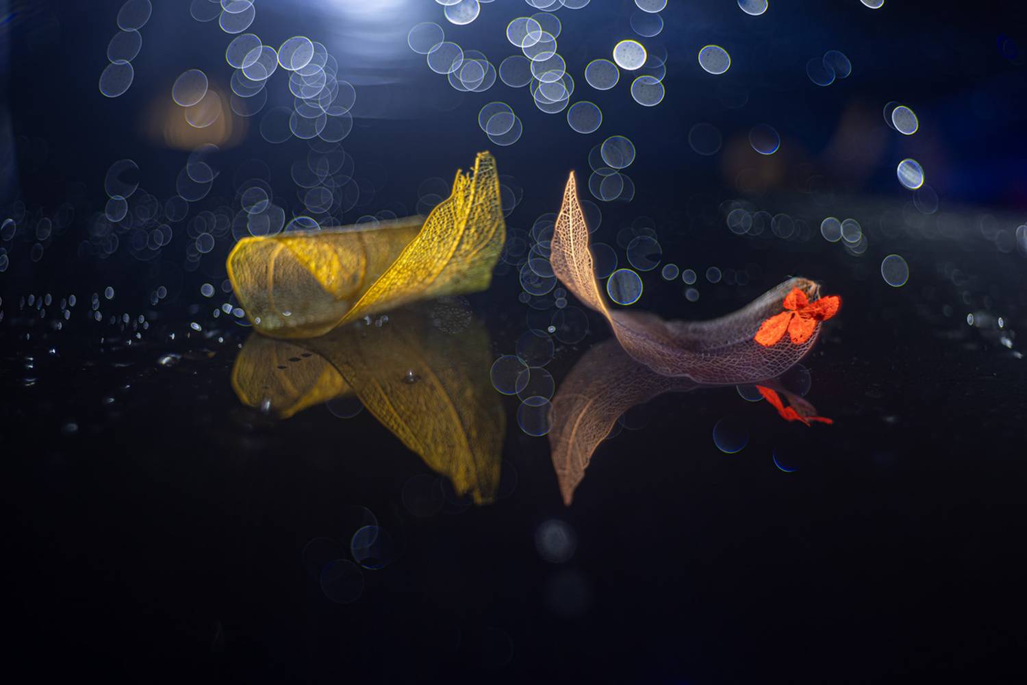 close-up, Копцев Игорь