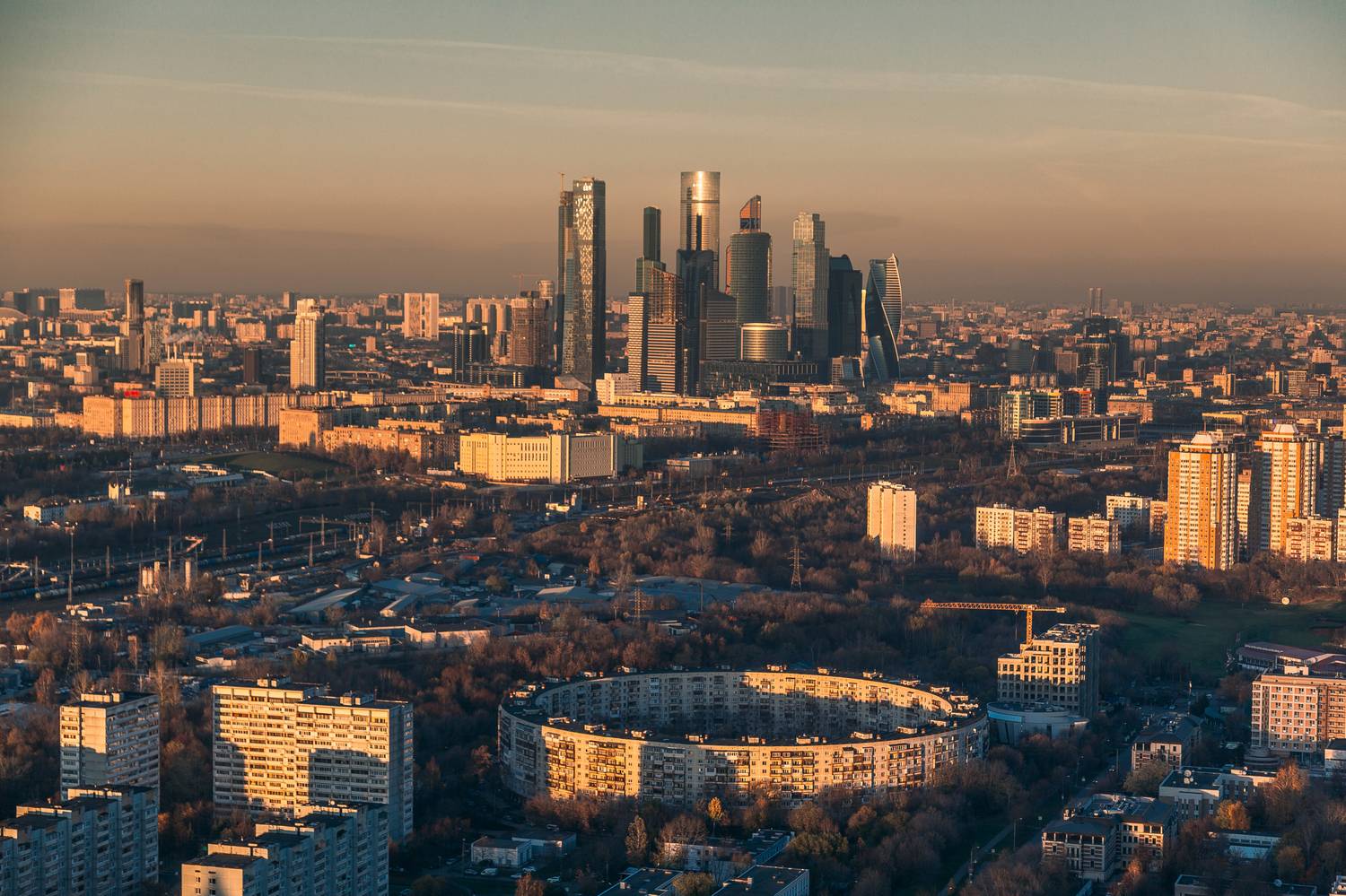 , Трепольский Дмитрий