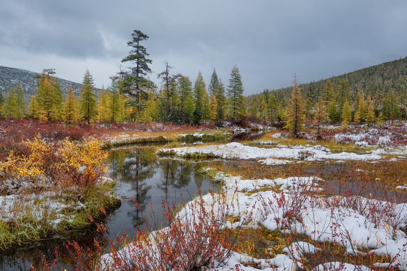озеро, джека, лондона Осенний ручей.. фото превью