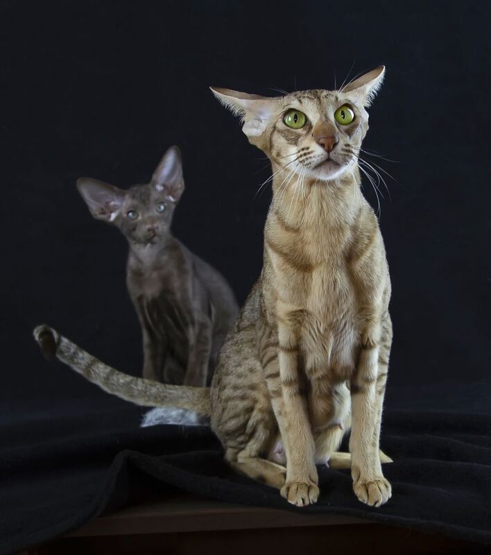 Птичка? Где птичка? фото превью