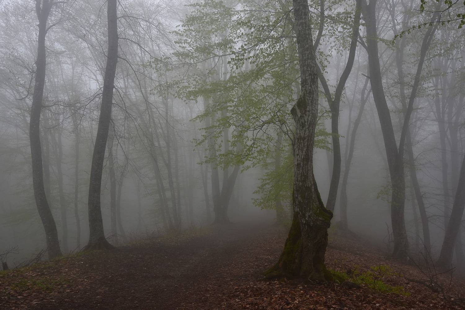 кизиловка, кабардино-балкария, нальчик, Хасан Журтов