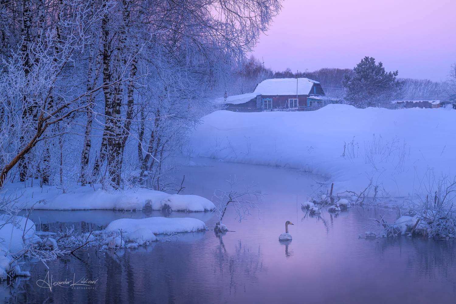 алтай,пейзаж,рассвет,утро, Александр Кукринов