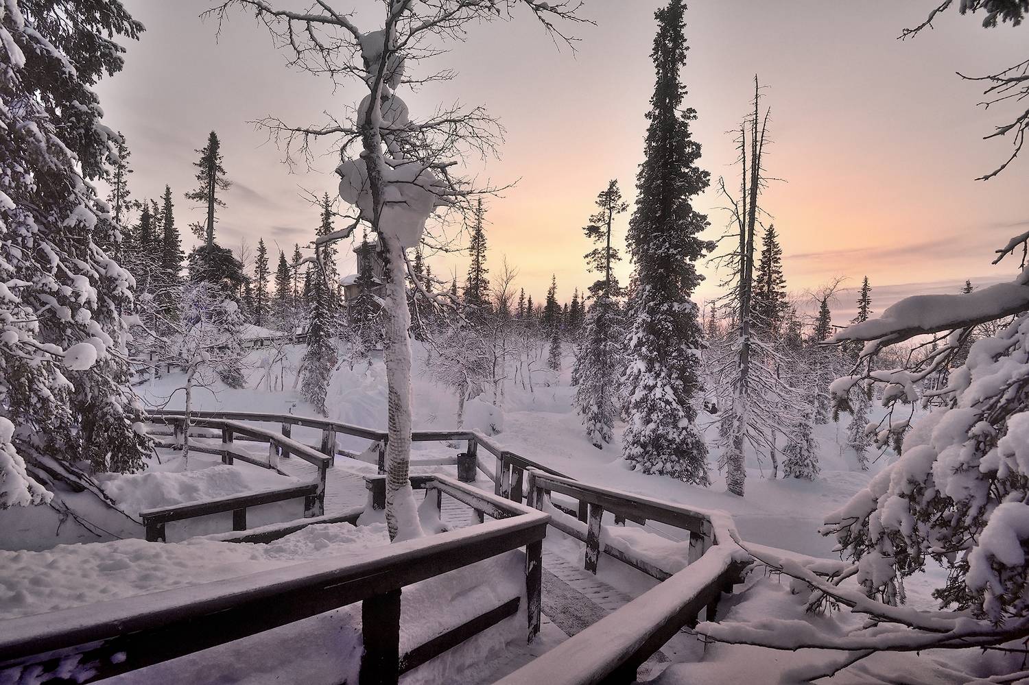 , Алексей Никонов