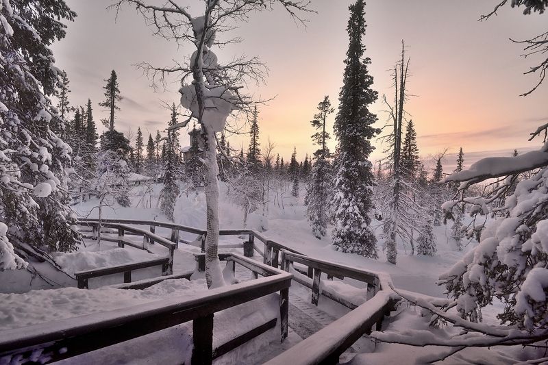 В гостях у сказки фото превью