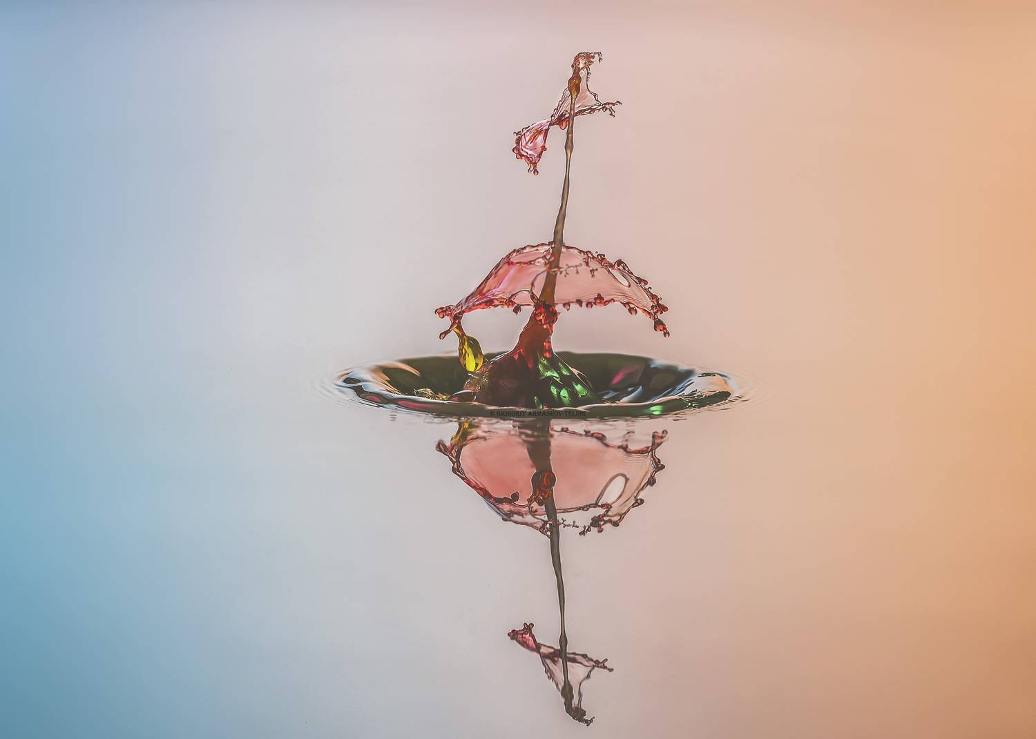 drops, macro, colors,liquid, milk, color_water,macro_photo,water, Армашов-Тельник Григорий