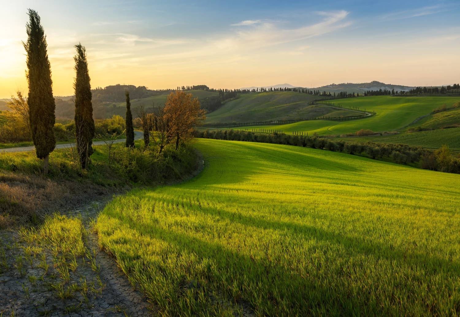 , Алекс Римский