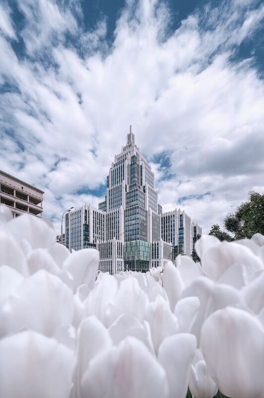 москва, весна, тюльпаны, бц оружейный, архитектура, город, moscow, spring БЦ Оружейный фото превью
