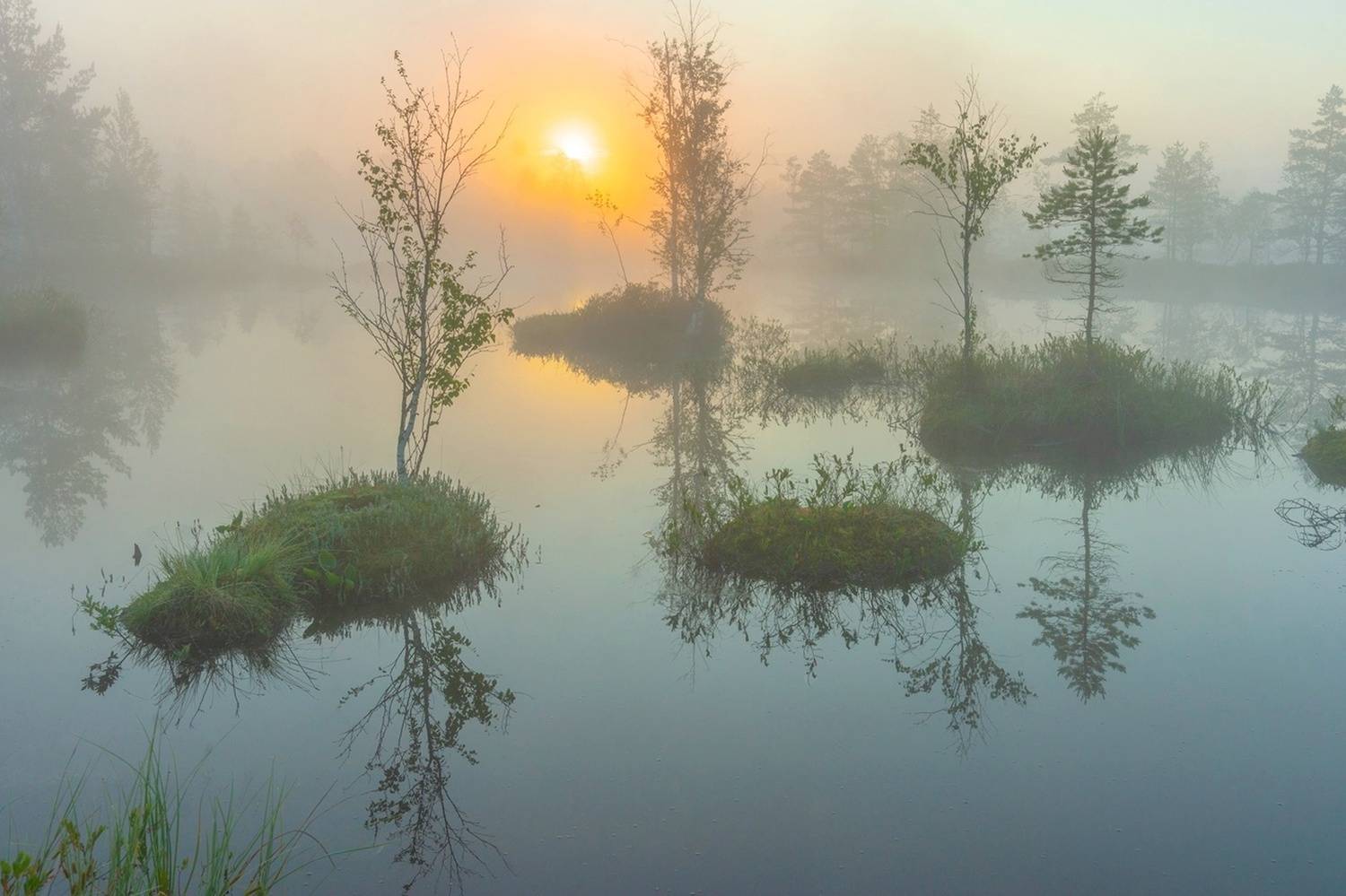 , Петр Косых