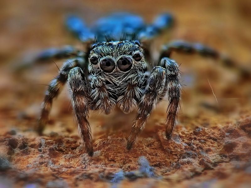 Задумался фото превью