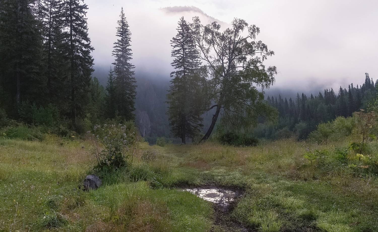 утро, сибирь, рассвет, мана, туман, скалы, Фомина Марина