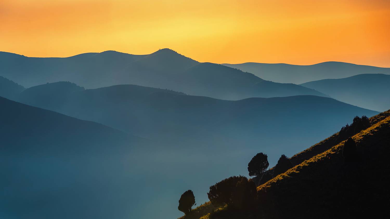 кыргызстан, Элина Магалимова