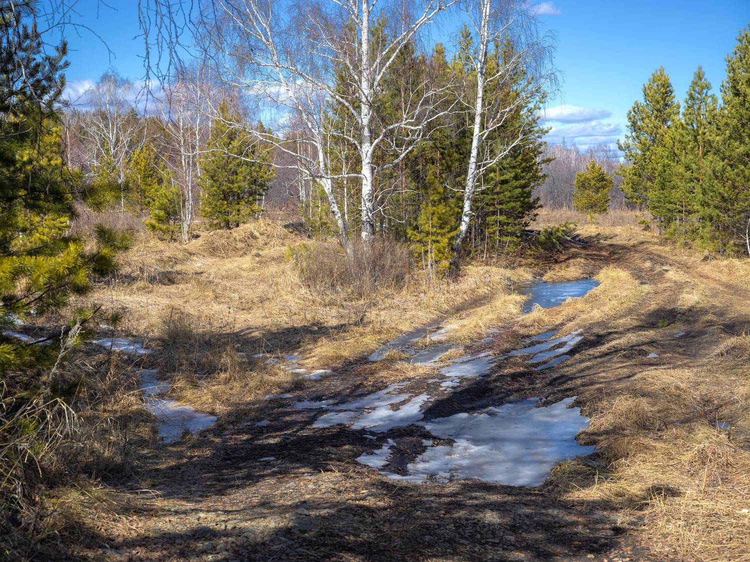 , Шустиков Дмитрий