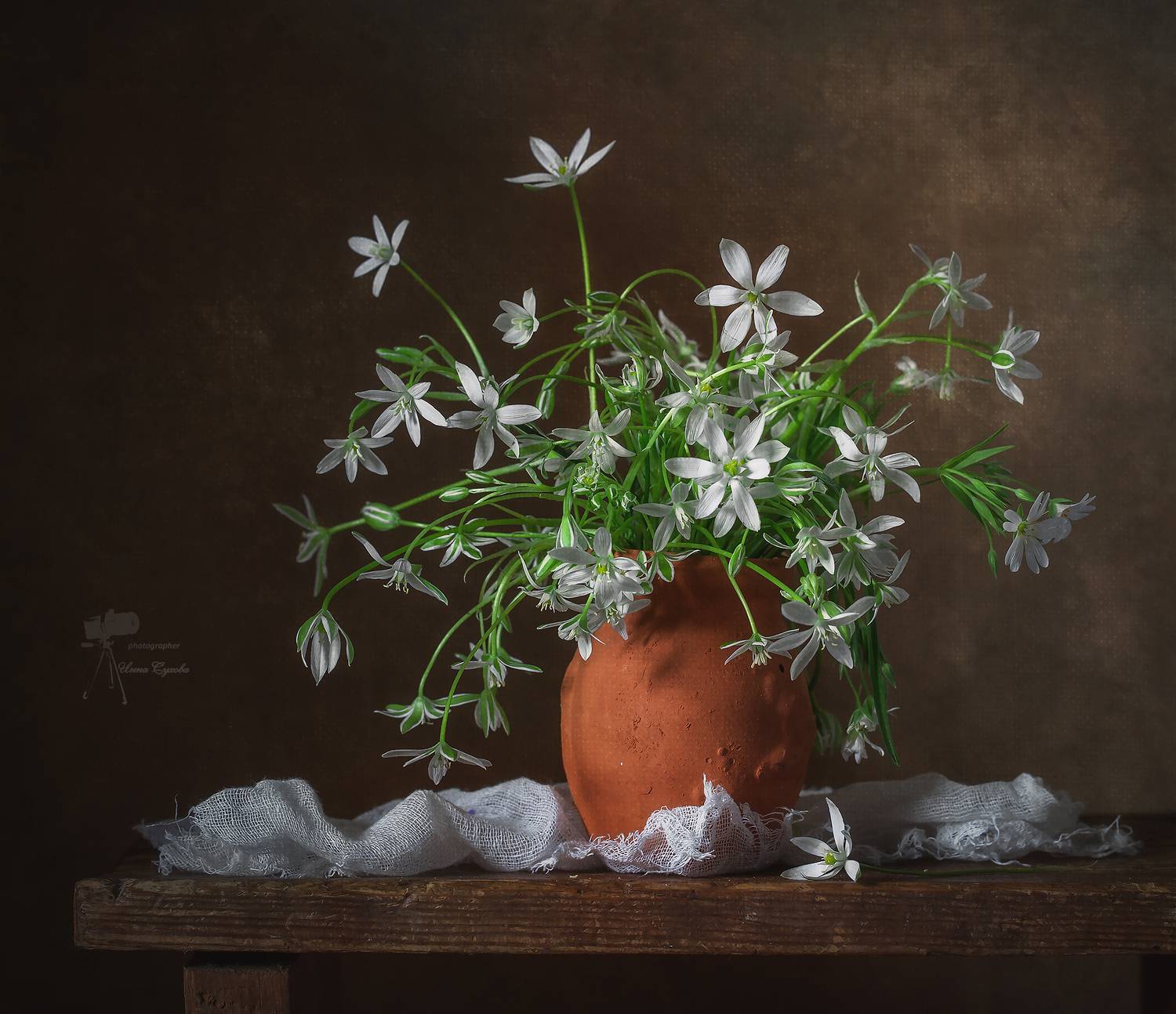 , Инна Сухова