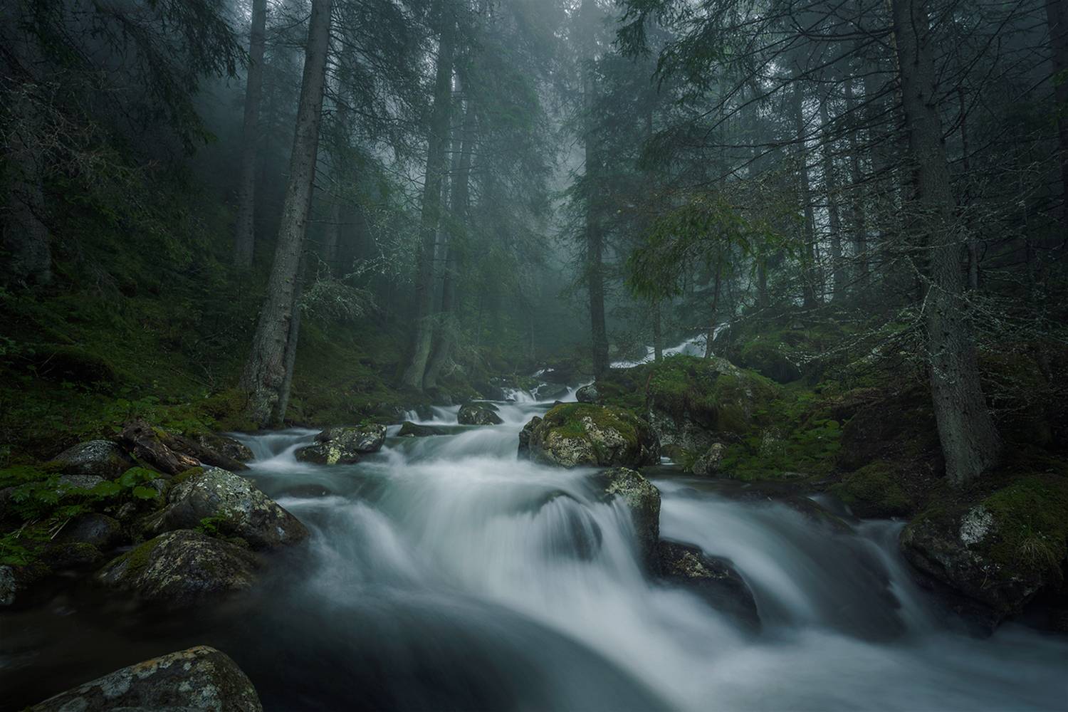 landscape, nature, scenery, forest, wood, mist, misty, fog, foggy, river, longexposure, mountain, rocks, rila, bulgaria, туман, лес, Александър Александров