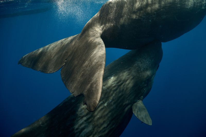 Baby and mom фото превью