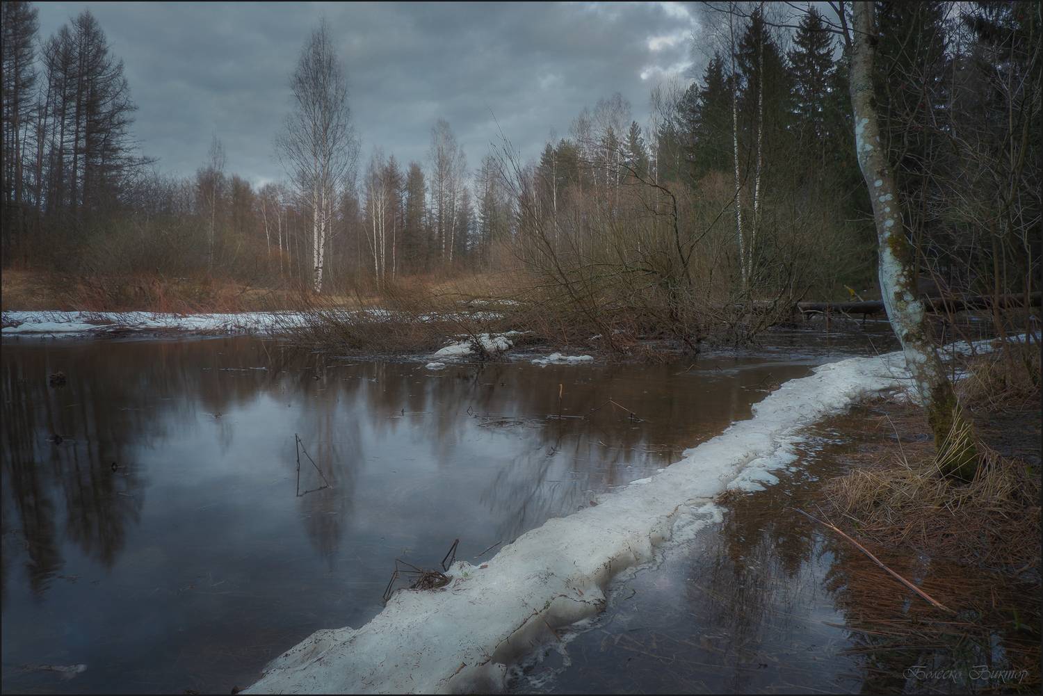 , Болеско Виктор