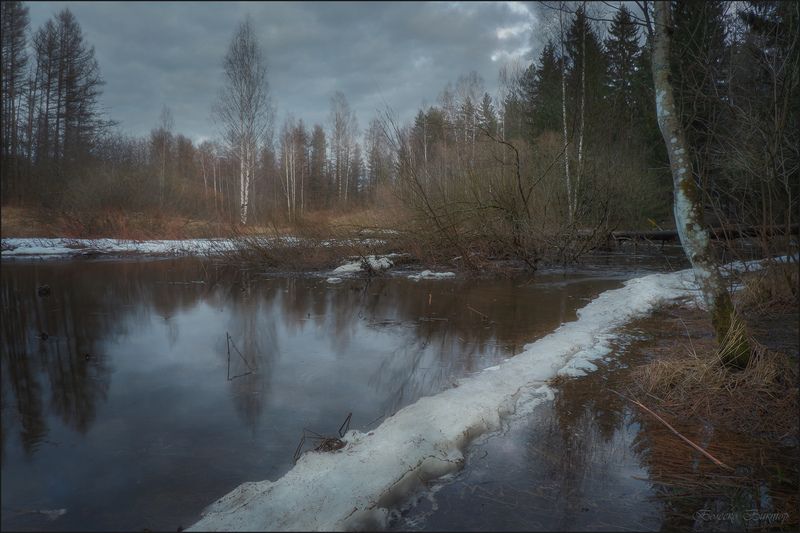 Весенними тропами фото превью