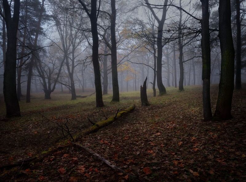 *** фото превью