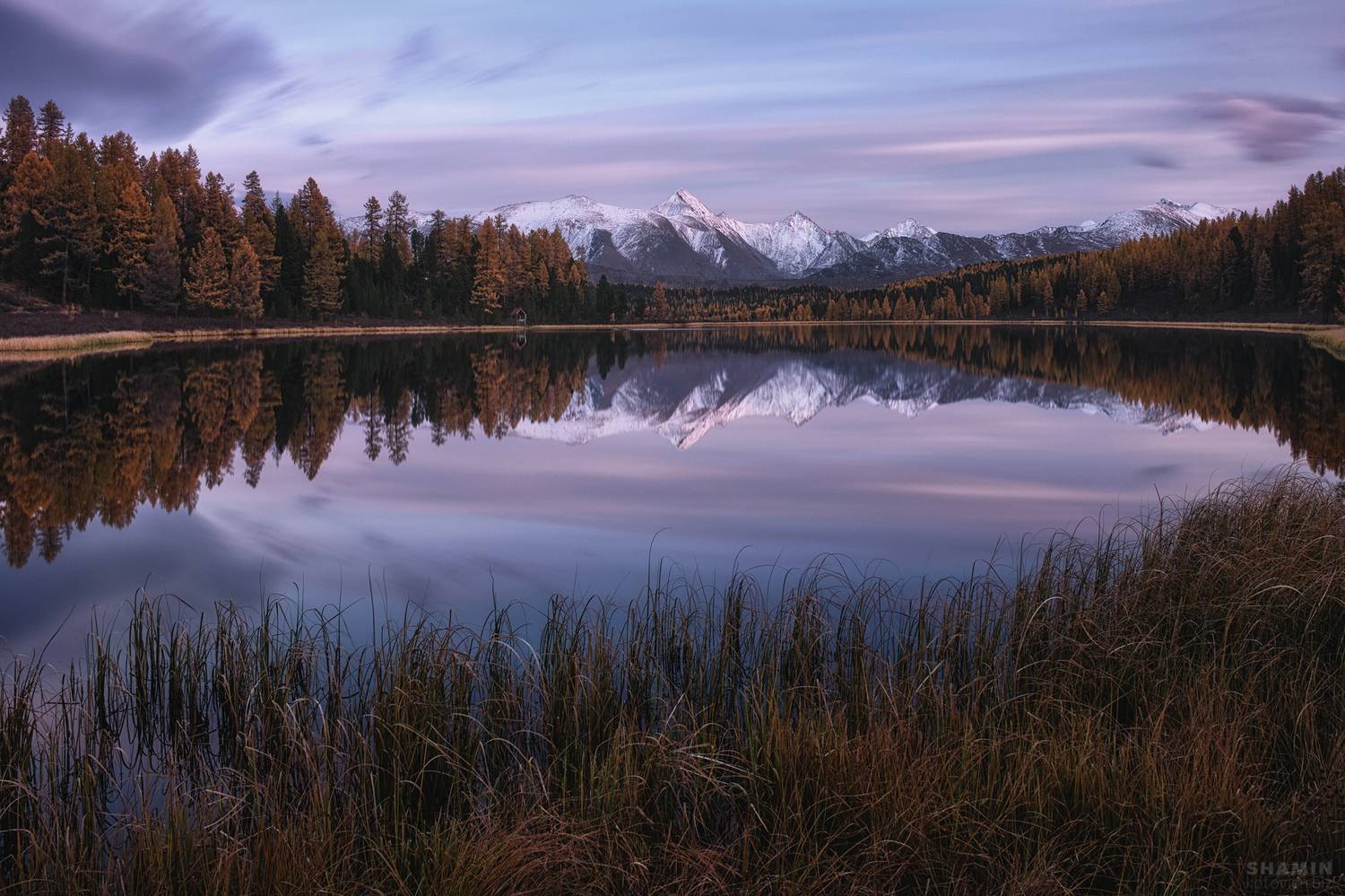 , Константин Шамин