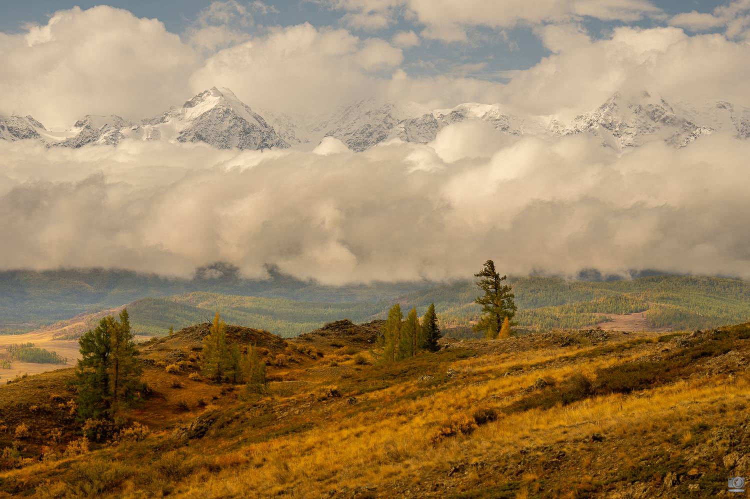 алтай, Ковалев Дмитрий