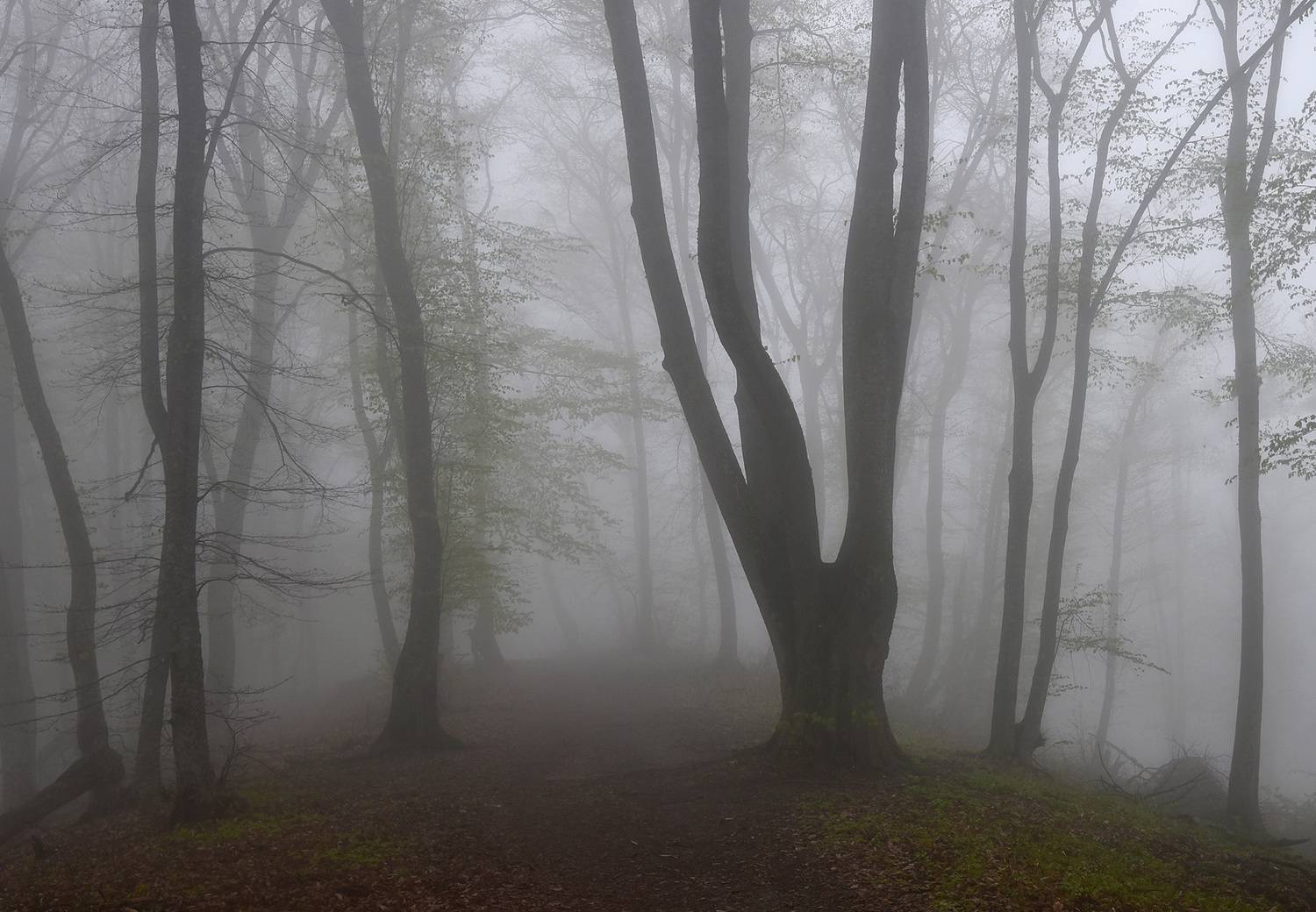 кизиловка, нальчик, Хасан Журтов