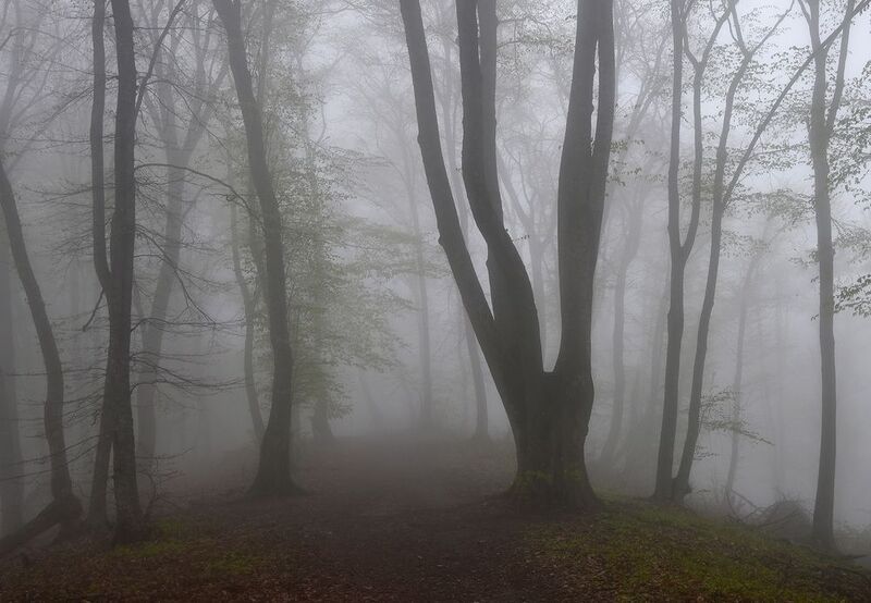кизиловка, нальчик Весенняя Кизиловка фото превью