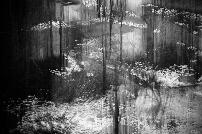 мультиэкспозиция, сергей толмачев, уменянакухне Вид из окна фото превью