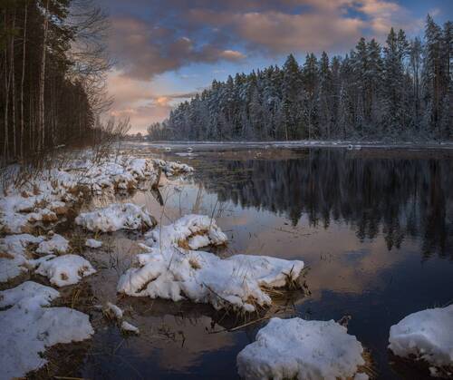 В вечернем свете