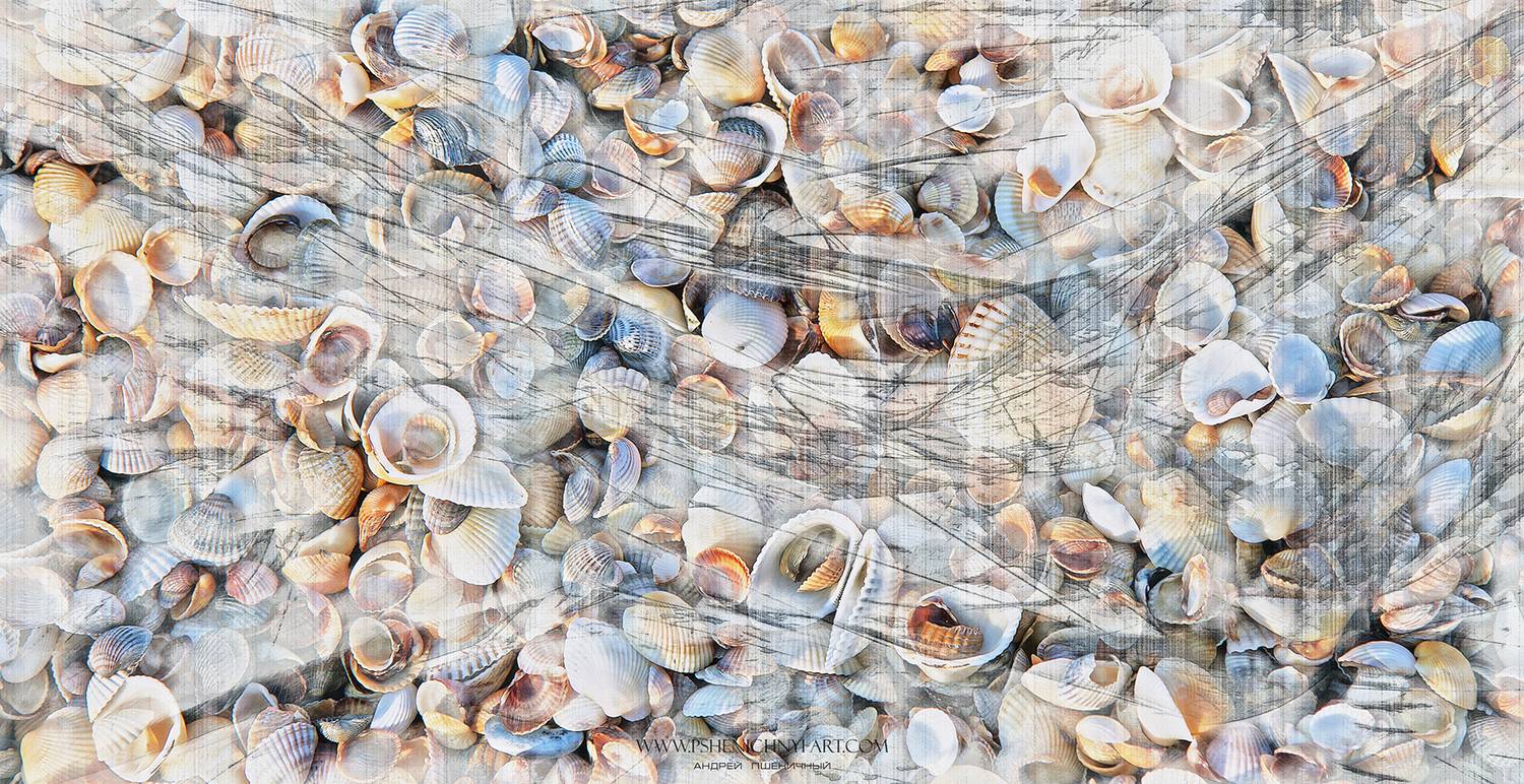 ракушки, волна, лето, море, абстракция, минимализм, Пшеничный Андрей