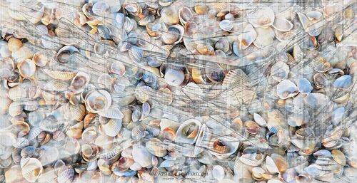 Дыхание лета