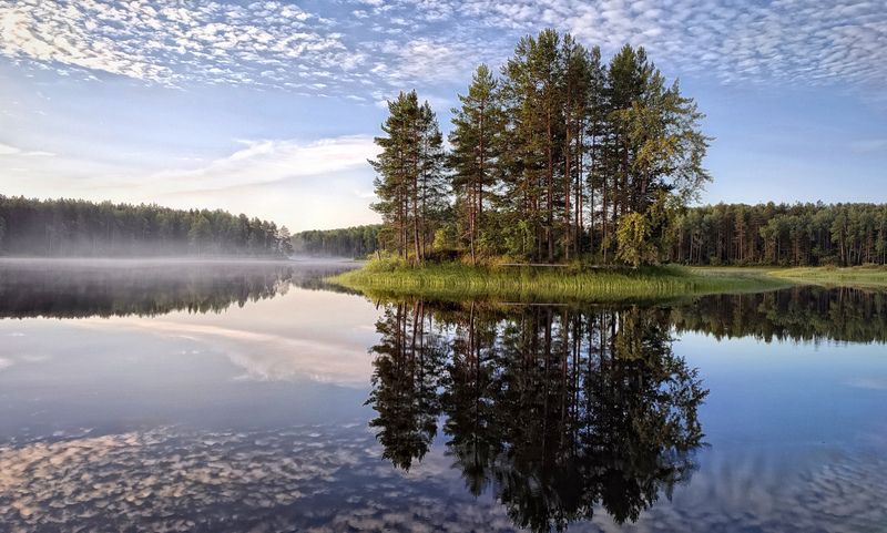 Тихое утро. фото превью