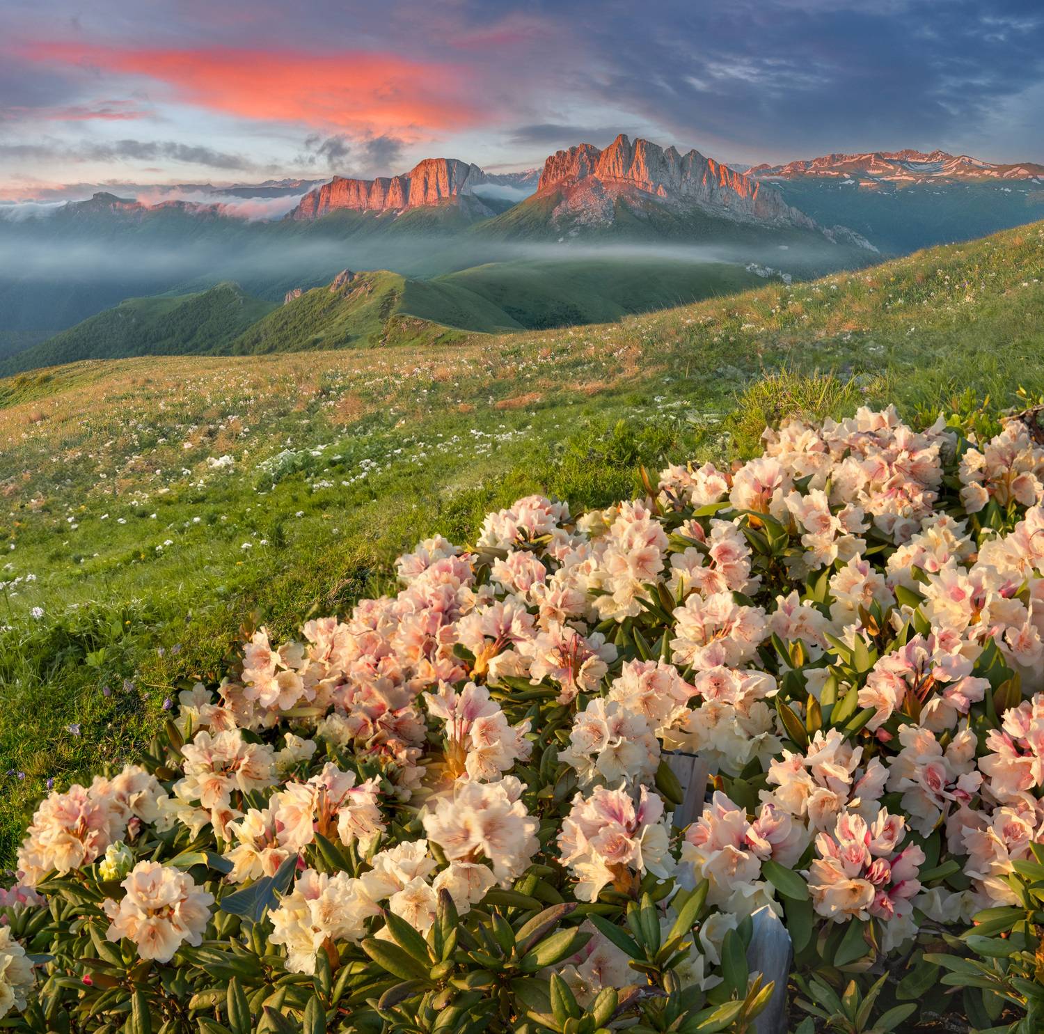 Фототуры с Владимиром Рябковым, #topnature #russpasibo #magic_shots #lovelyRussia #sunset_vision #exclusive_sky  #exclusive_shots #loves_russia2 #photoarena_nature #nature_sultans #nature_perfection #rsa_sky #rsa_sunset #photorussia #rsa_naturepics #sunse, Владимир Рябков