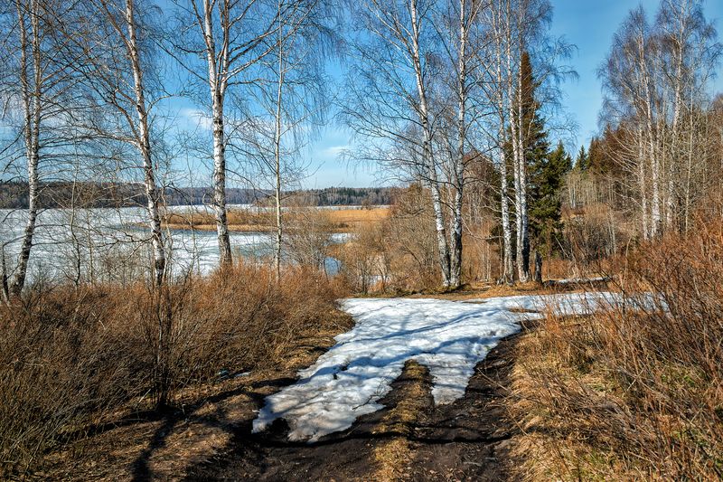 Весна в Сибири.  фото превью