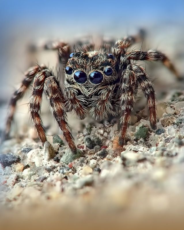 Весенние посиделки фото превью