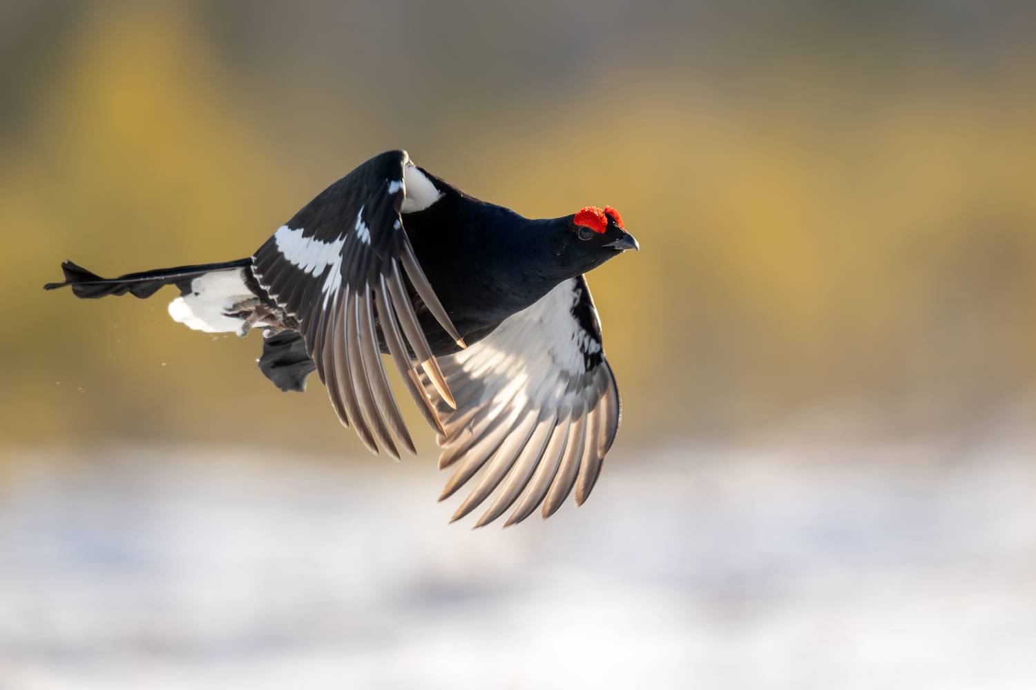 , Калинин Михаил