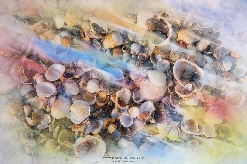 ракушки, лето, море, акварель, абстракция,минимализм Летний бриз фото превью