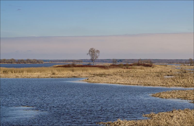 Придорожное, или удивительное рядом. фото превью